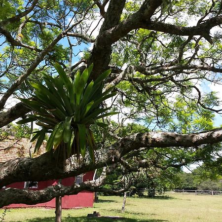 Aldeia Santuario Das Aves Tavares Room photo