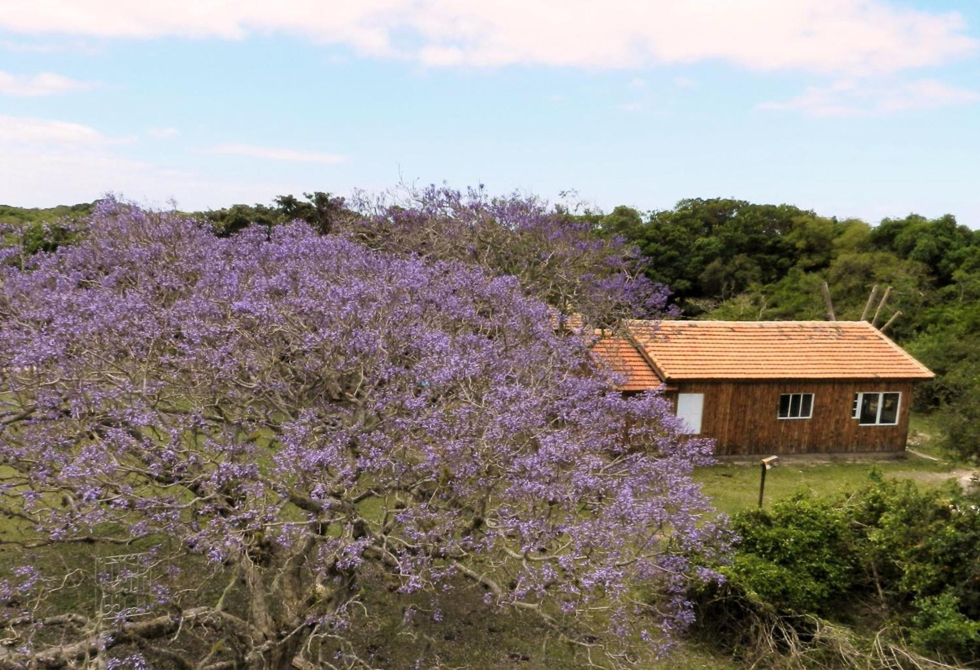 Aldeia Santuario Das Aves Tavares Room photo