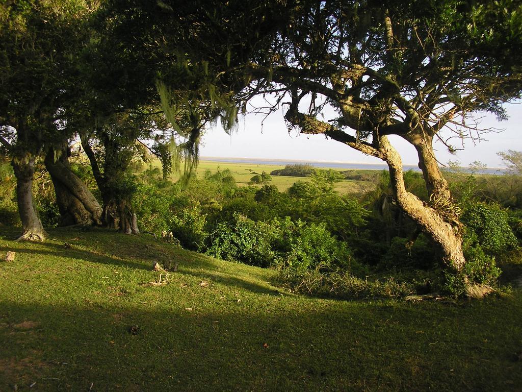 Aldeia Santuario Das Aves Tavares Exterior photo